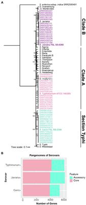 Characterization of Basal Transcriptomes Identifies Potential Metabolic and Virulence-Associated Adaptations Among Diverse Nontyphoidal Salmonella enterica Serovars